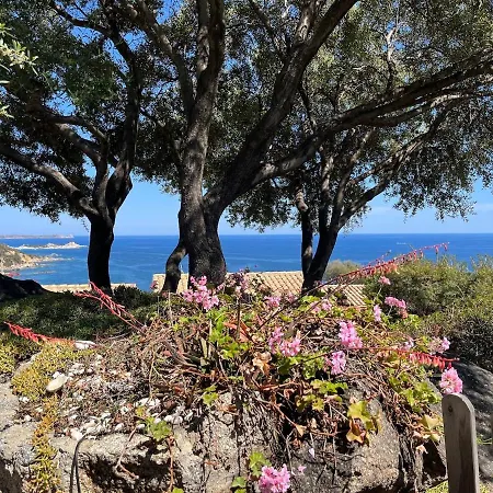 Acquamarina A 2 Passi Dal Mare * Simius